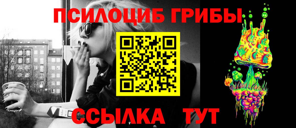 Псилоцибиновые грибы Psilocybine cubensis Соль-Илецк