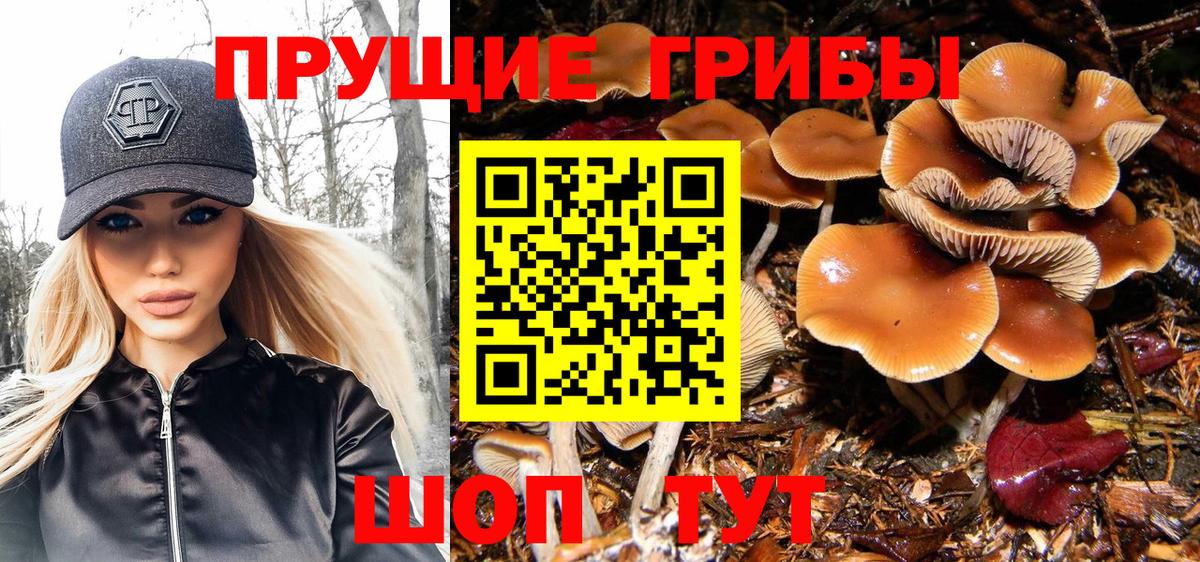 Соль-Илецк  Галлюциногенные грибы GOLDEN TEACHER  Вход с VPN 