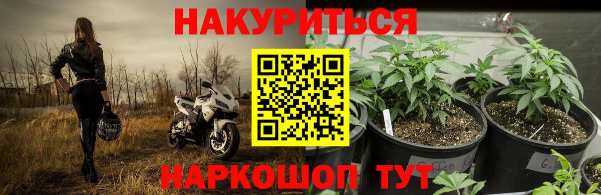 Канабис MAZAR Соль-Илецк